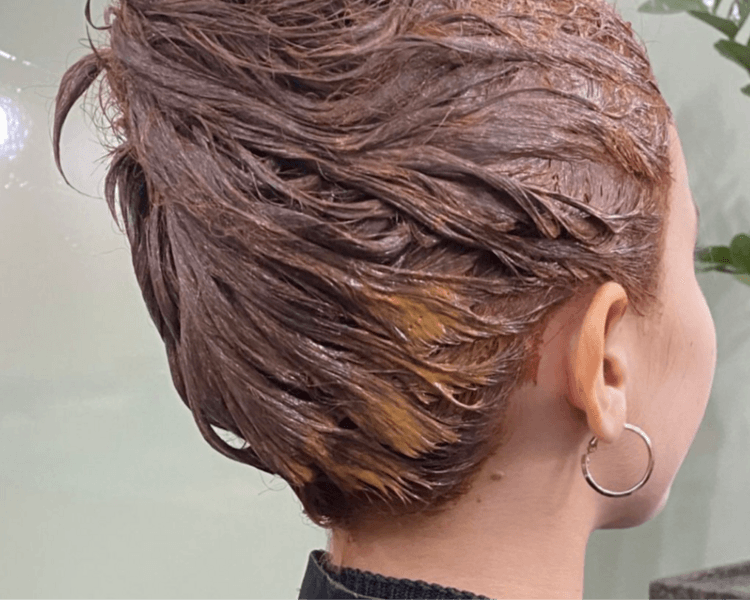 COLOR COMPLETO CABELLO MEDIO