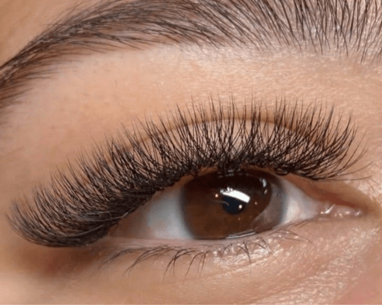 PELO A PELO VOLUMEN TECNOLOGICO