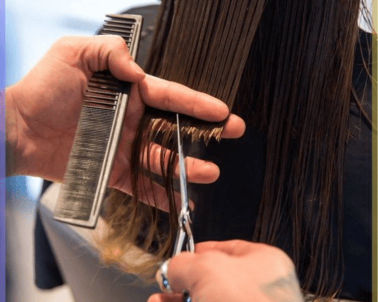 corte + baño de crema en bacha