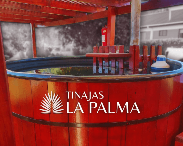 Tinaja para 5 personas