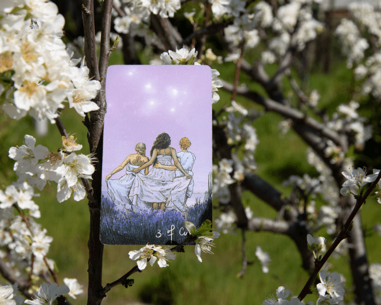 Conjunto de 4 sesiones de tarot coach evolutivo