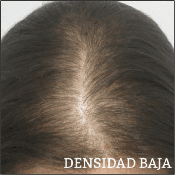 CORTE EN SECO DENSIDAD BAJA
