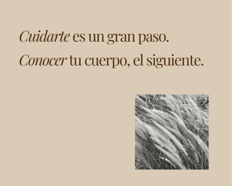 Evaluación metabólica, nutricional y funcional