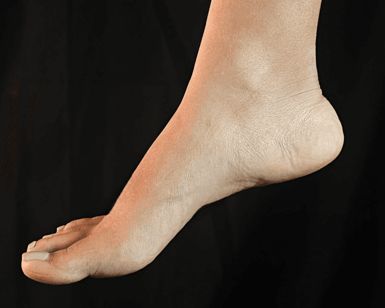 Dedos de los Pies 🦶