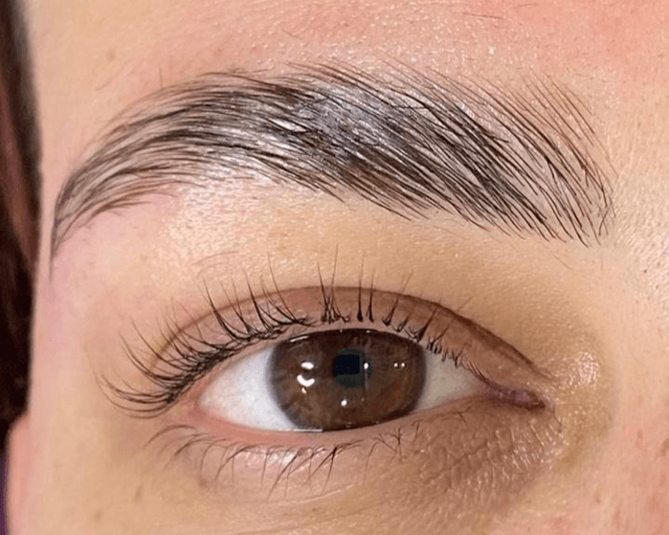 Diseño de cejas+ perfilado + laminado + nutri