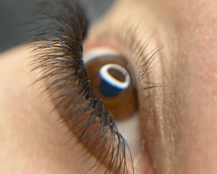 Extensiones de pestañas Volumen tecnológico 2D