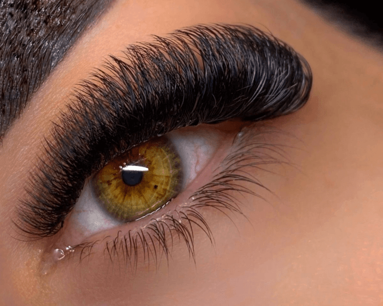 Extensiones de pestañas volumen tecnológico 6D