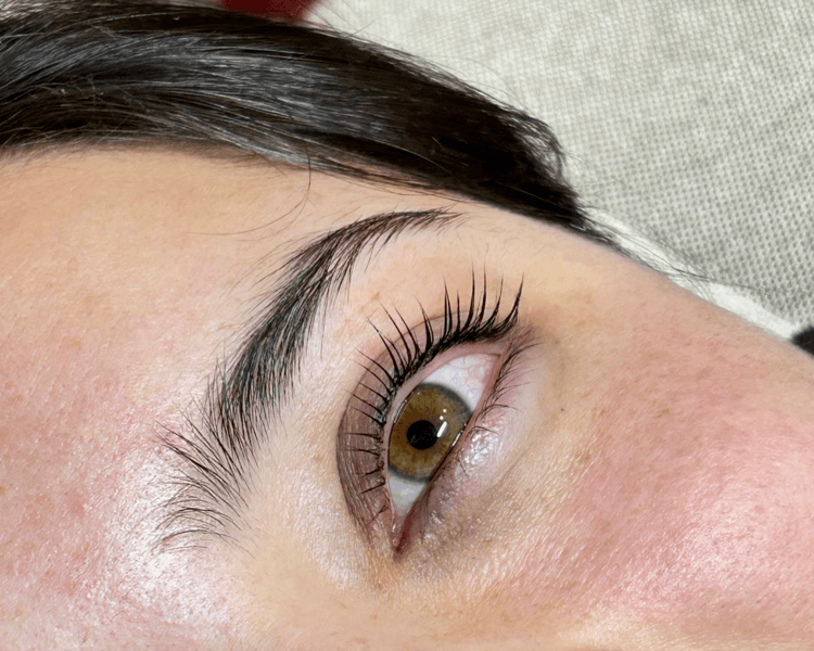 Lifitng de pestañas + tintura + nutricion