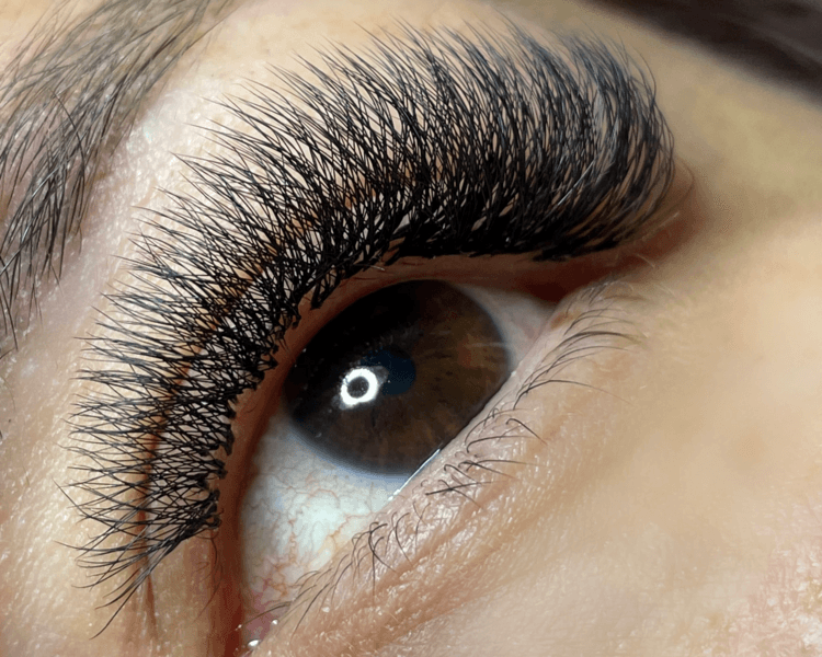 Extensiones de pestañas Volumen Egipcio full