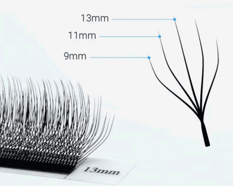 Extensiones de pestañas Volumen Tecnológico 5D