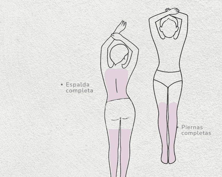 Extra Grande ( Piernas Completas) / GlowPass