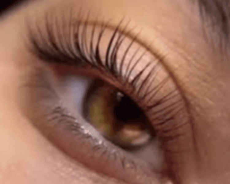 Lifting de pestañas + Tinte