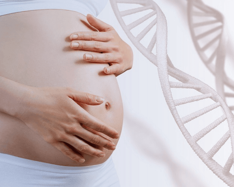 Acompañamiento Biológico Perinatal