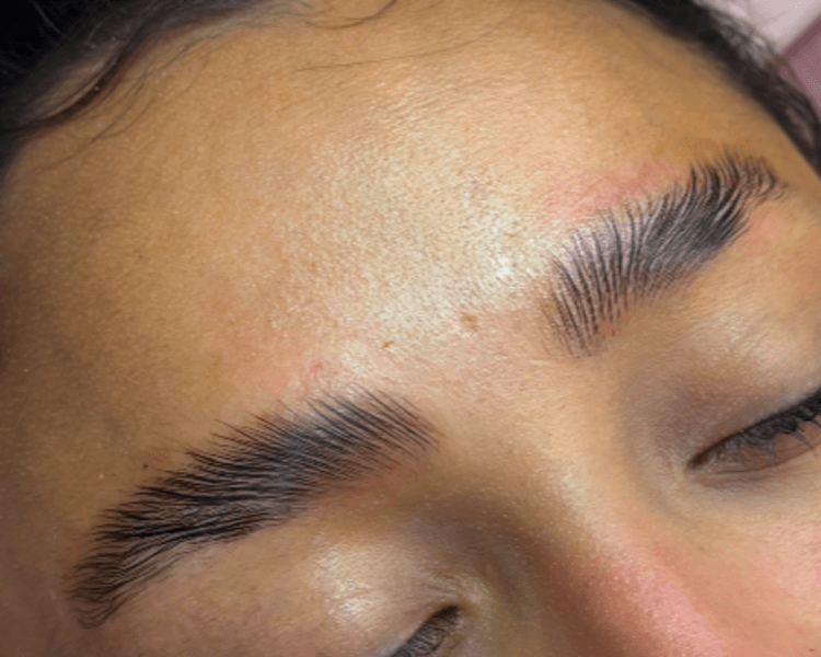 Laminado de Cejas