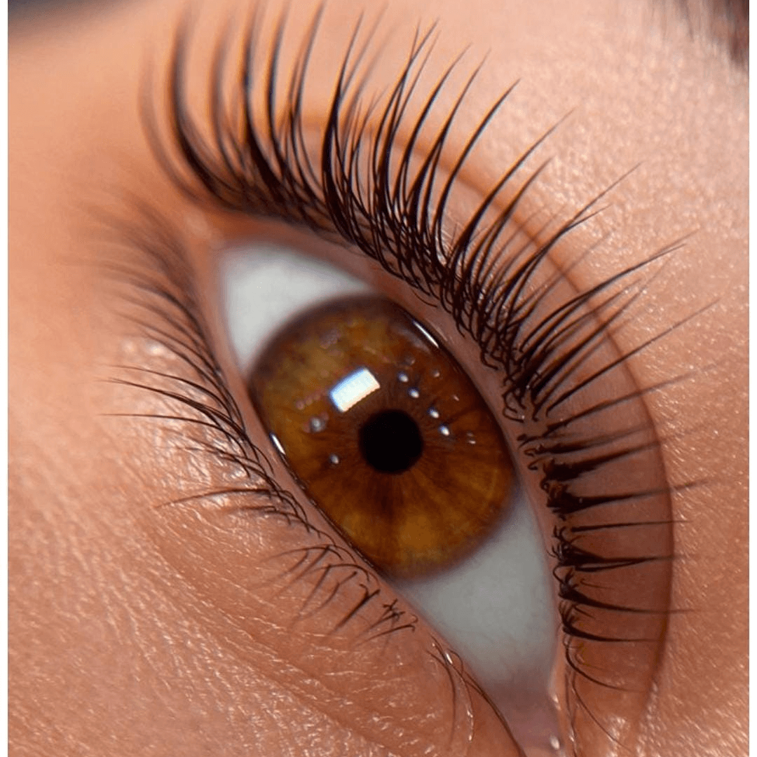 Cejas y Pestañas photo