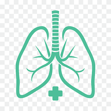 Dra. Doris Piña Ubeda photo