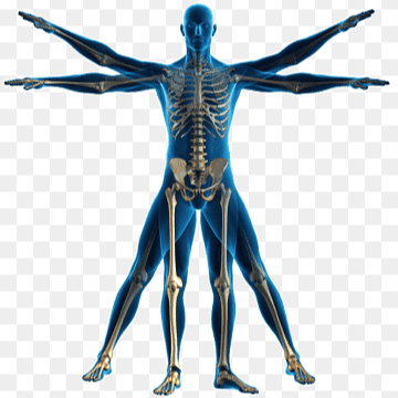 Kinesiólogo Esteban Rodríguez García photo