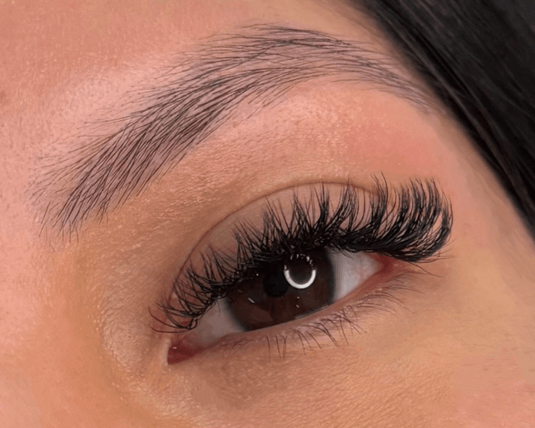 VOLUMEN BRASILERO SERVICE