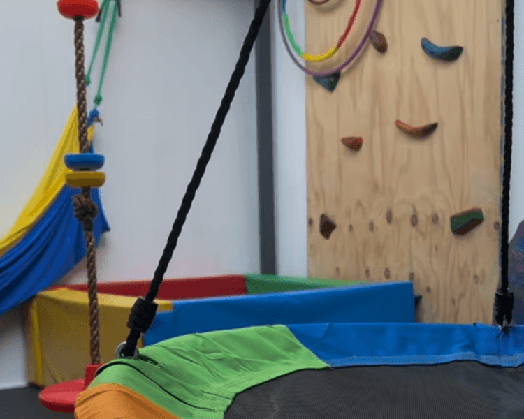 Consulta Inicial Terapia Ocupacional