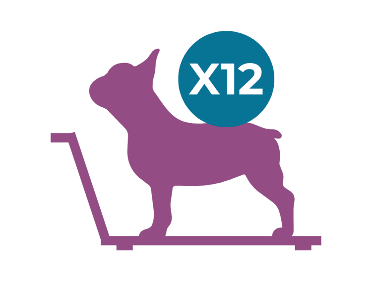 Paquete de 12 sesiones Fisiátricas