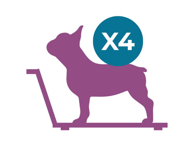 Paquete de 4 sesiones Fisiátricas