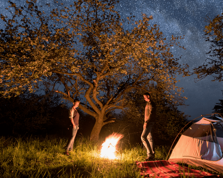 Psicoterapia de Pareja (Larga)