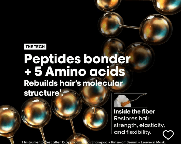 Absolut repair Molecular