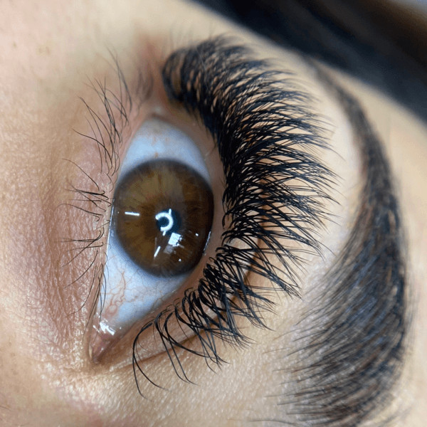 Extensiones de Pestañas Queen Lovely 2D (Volumen)