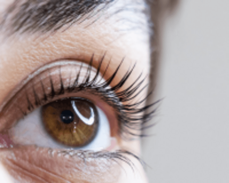 lifting + tinte de pestañas