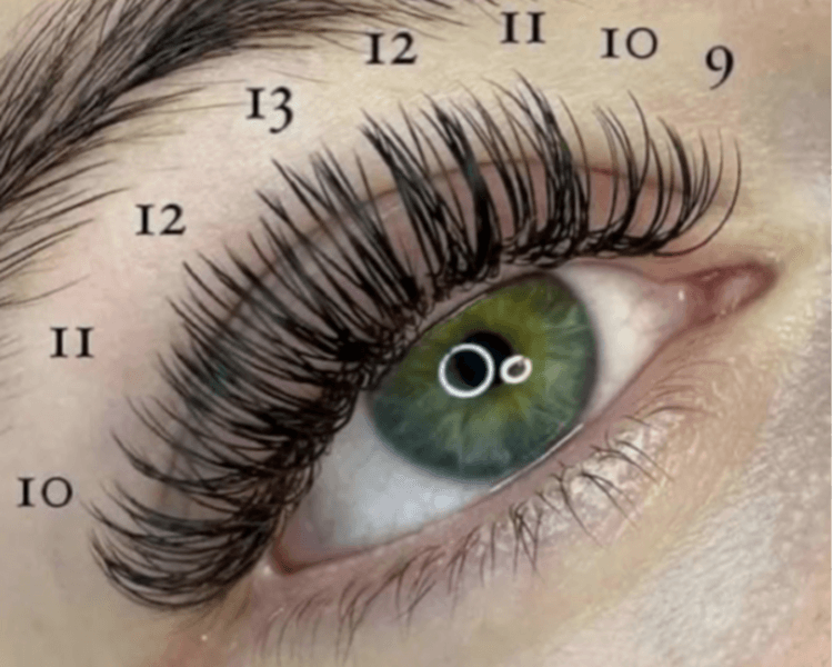 Extensión de Pestaña efecto / foxy / Foxy / thifany / Cat