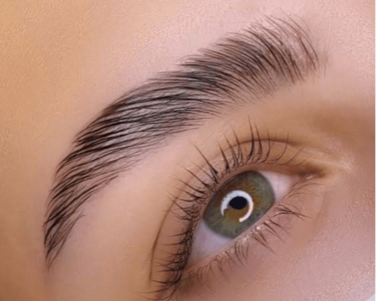 Laminado de cejas nutritivo