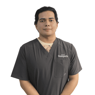 Estilista Junior Benjamín 🐾 photo