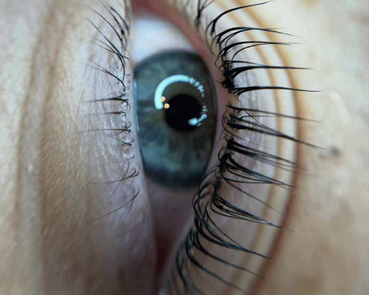 Lifting con nutricion y tinte