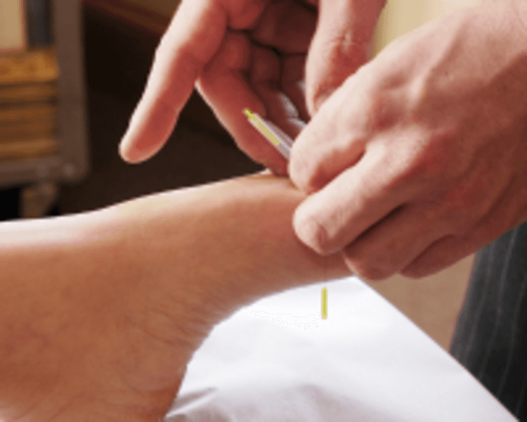 REGULACION ESTACIONAL INDIVIDUAL