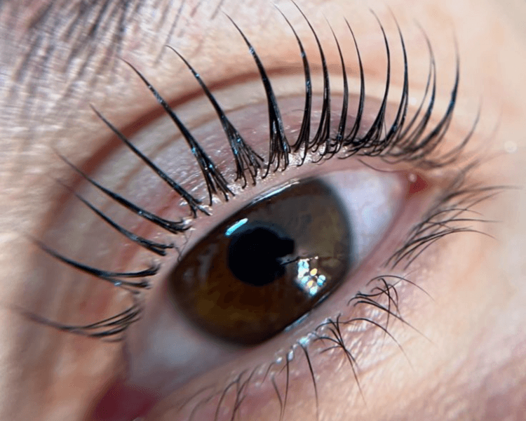 Lifting de pestañas COREANO