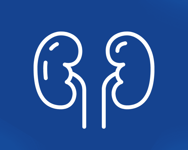 Consulta Nefrología Canino