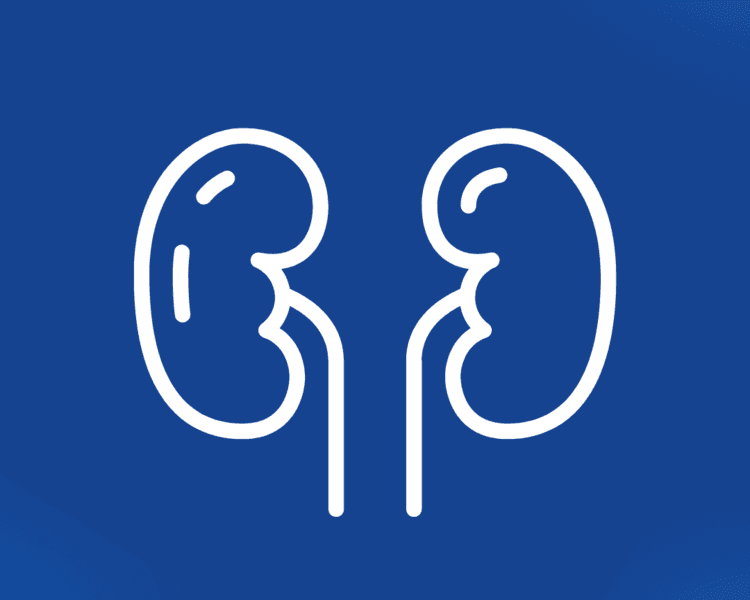 Control Nefrología Canino