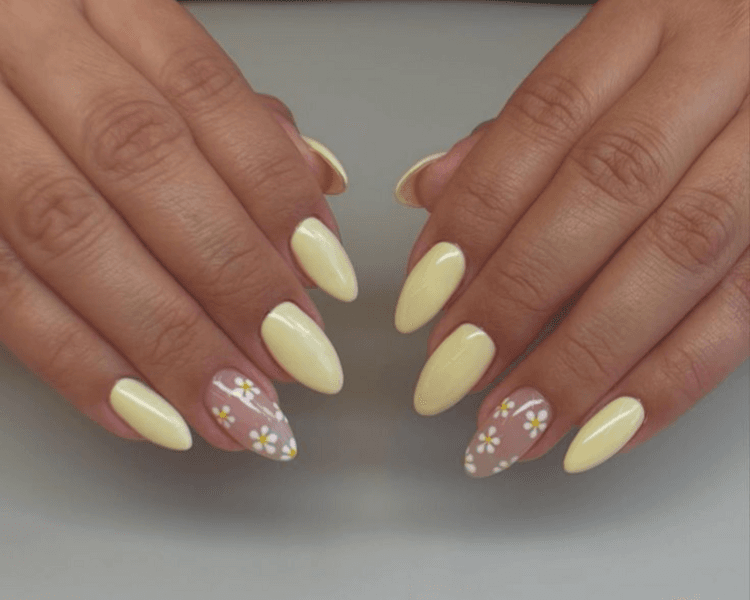 Soft Gel + Semiperamente Liso (incluye 2 diseños)