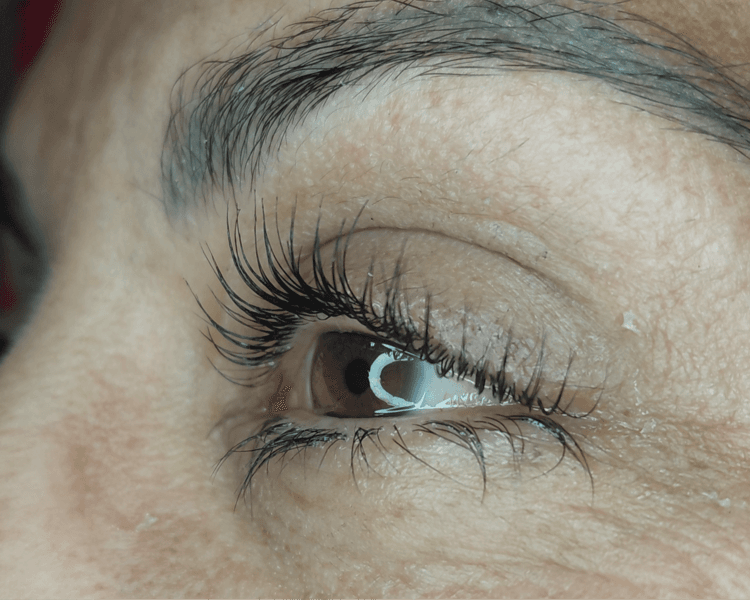 Lifting + Tinte + Nutrición (Premium)