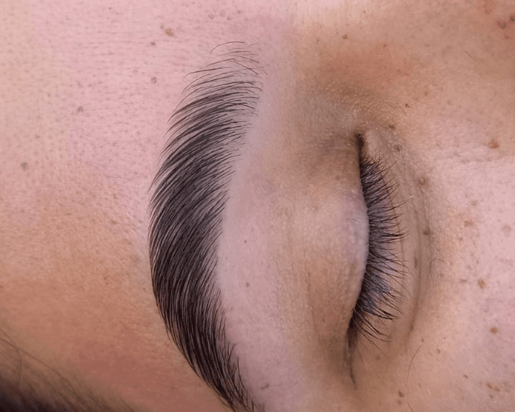 Laminado de cejas (con perfilado incluido)