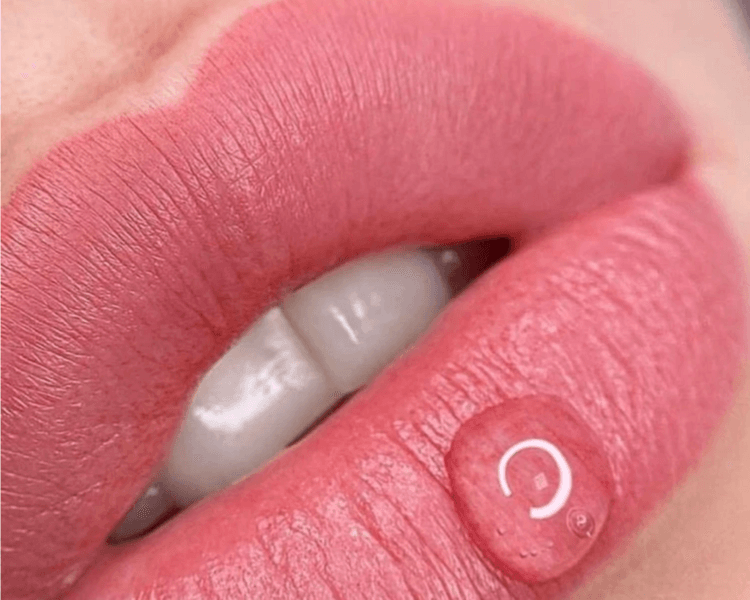 Soft Lips (sin trabajos anteriores)