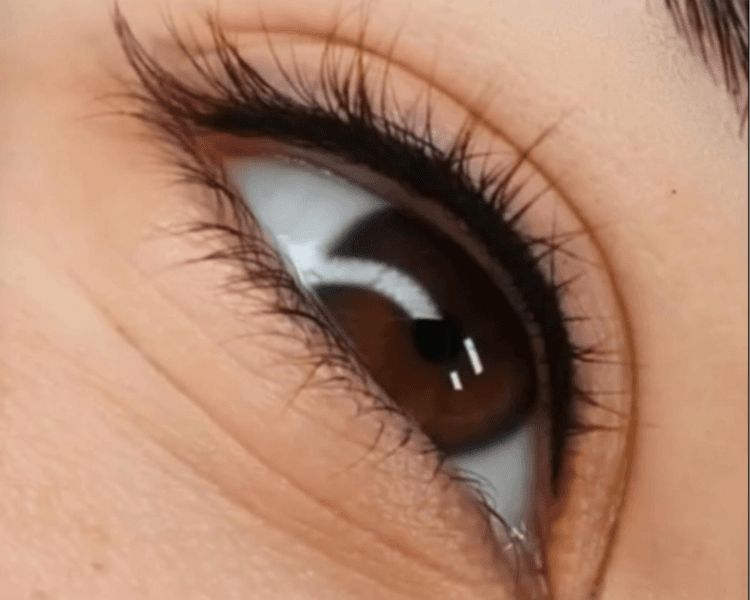 Entre Pestaña (retoque anual)