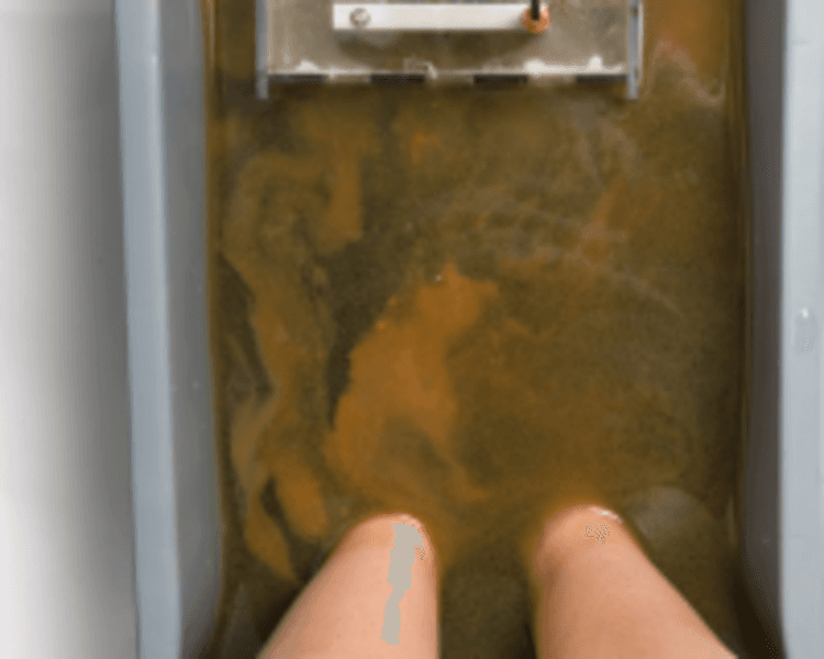 Desintoxicación Iónica de pies