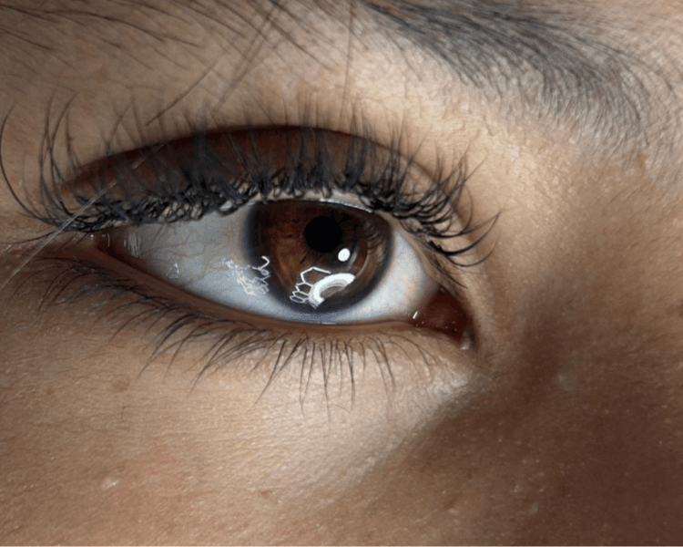 Pestañas Pelo a Pelo (efecto closed fans)