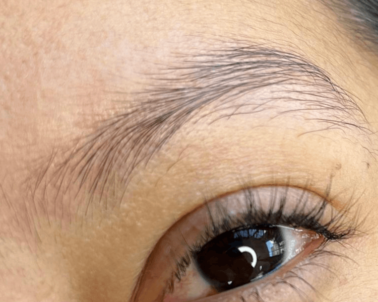 Microblading Hiperrealista "Maquillaje Permanente" (Maquillaje Semi permanente )