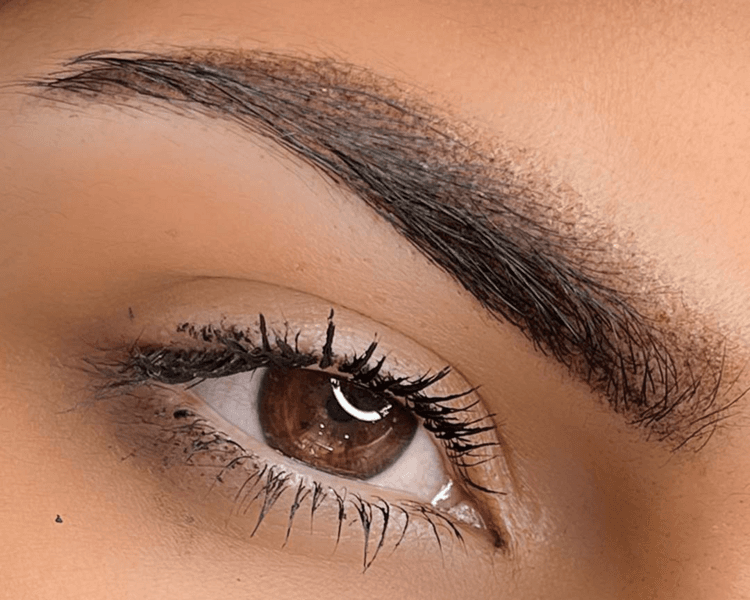 Sombreado en cejas (cejas powder)