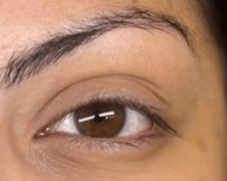 Extensiones"Efecto FoxyEyes" delineado