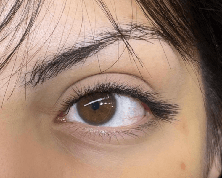 Extensiones"Efecto FoxyEyes"