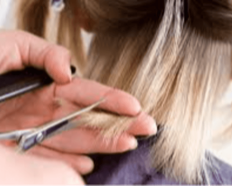 Corte Diseño Tradicional + Brushing ó Definición de Rulos.