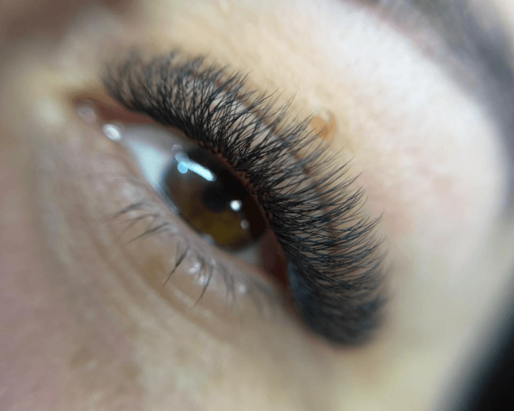 Extensiones (Tecnológicas 3D)